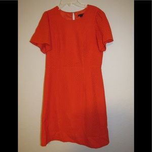 Bright Orange A-Line Dress